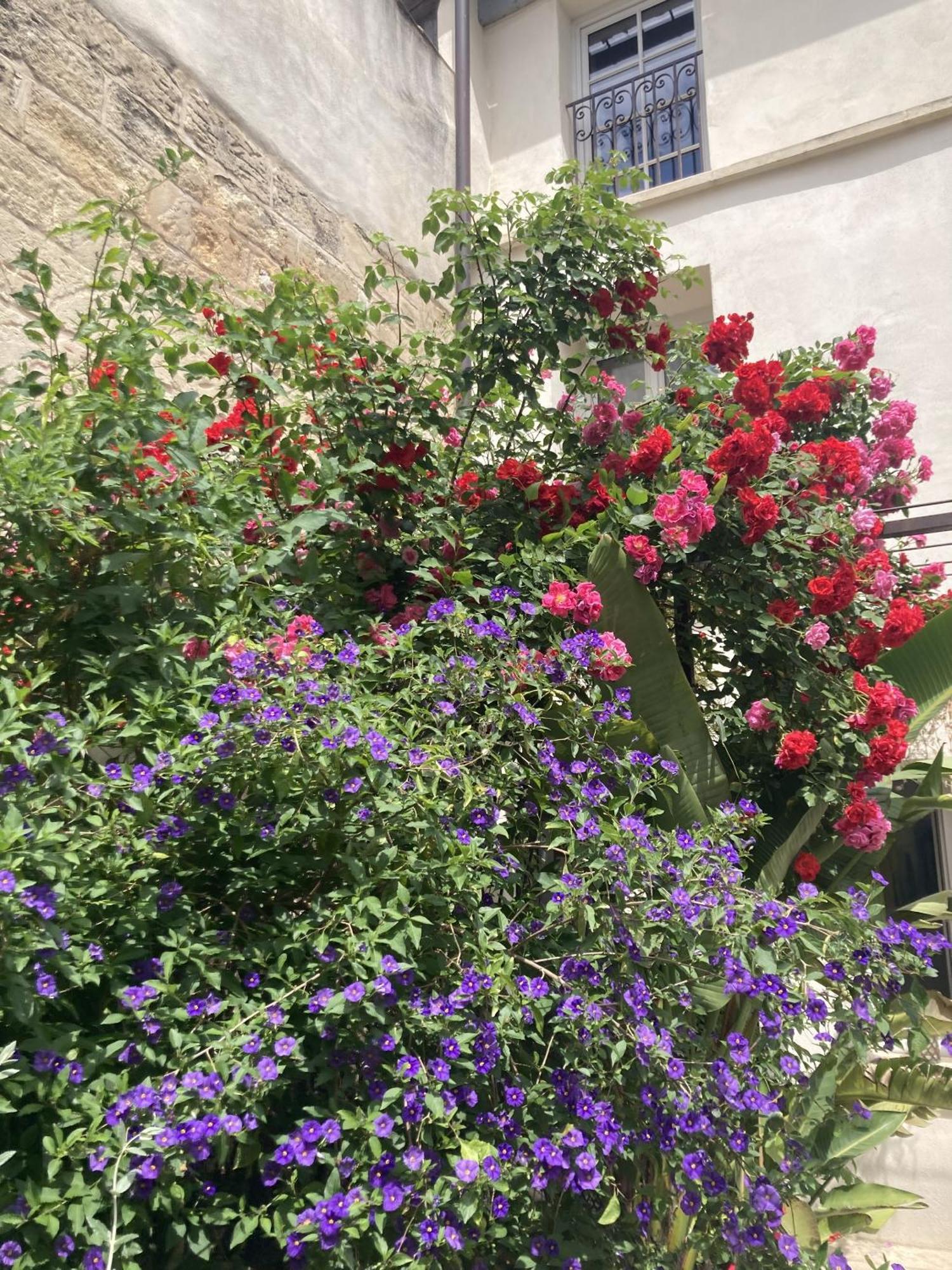 La Maison Des Augustins 4 Stars Spa Et Fitness Αβινιόν Δωμάτιο φωτογραφία